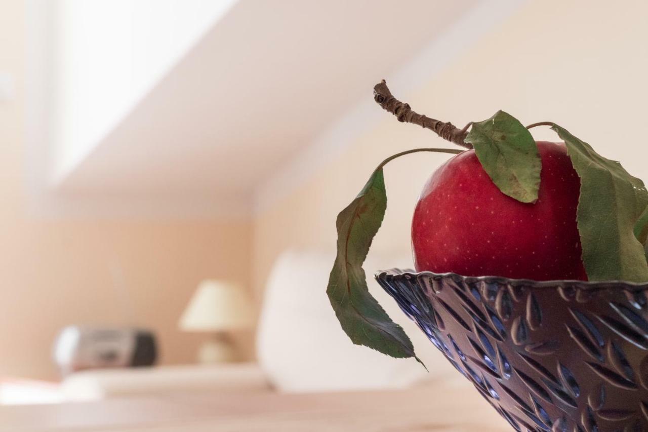 Apartman Nena Turanj Zewnętrze zdjęcie